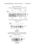 METHODS AND COMPOSITIONS FOR TREATING NEURODEGENERATIVE DISORDERS AND     ALZHEIMER S DISEASE AND IMPROVING NORMAL MEMORY diagram and image