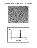  FORMULATION OF SILYMARIN WITH HIGH EFFICACY AND PROLONGED ACTION AND THE     PREPARATION METHOD THEREOF diagram and image