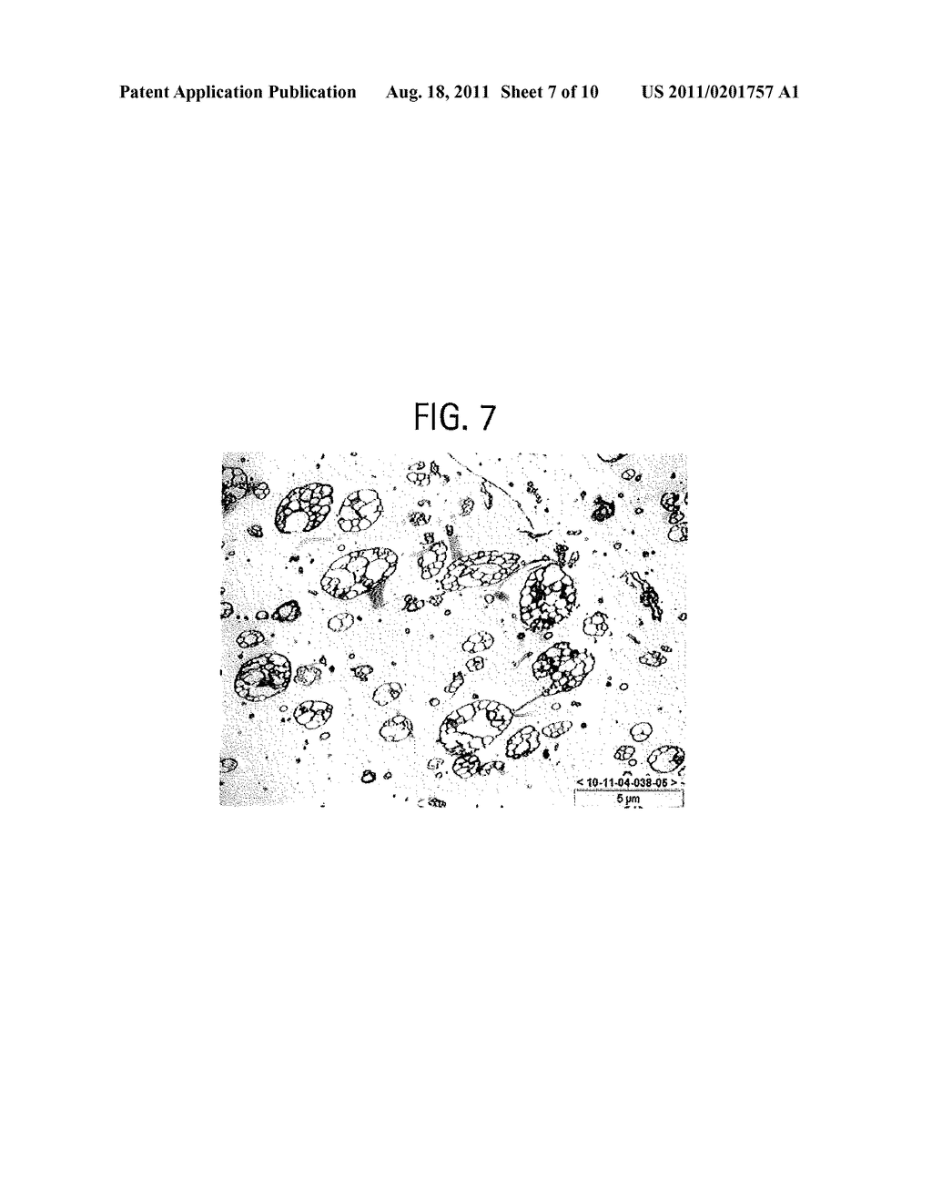 Methods for Production of High Impact Polystyrene - diagram, schematic, and image 08