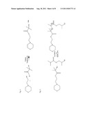 POLYMER-DENDRIMER HYBRIDS diagram and image