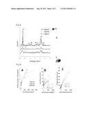 SPM NANOPROBES AND THE PREPARATION METHOD THEREOF diagram and image