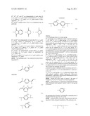 NOVEL DIKETOPYRROLOPYRROLE POLYMERS diagram and image