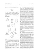 NOVEL DIKETOPYRROLOPYRROLE POLYMERS diagram and image