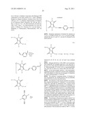 NOVEL DIKETOPYRROLOPYRROLE POLYMERS diagram and image