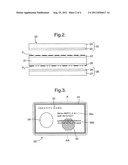 SECURITY ARTICLE AND METHOD OF MANUFACTURE diagram and image