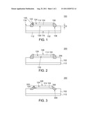 FLEXIBLE DISPLAY DEVICE diagram and image