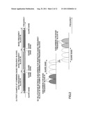 BASE STATION, MOBILE STATION, SIGNAL TRANSMISSION METHOD, AND SIGNAL     RECEPTION METHOD diagram and image