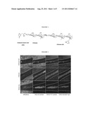 MODIFIED POLYSACCHARIDES FOR DRUG AND CONTRAST AGENT DELIVERY diagram and image