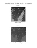 MODIFIED POLYSACCHARIDES FOR DRUG AND CONTRAST AGENT DELIVERY diagram and image