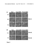 COMPOSITIONS AND METHODS FOR MODULATING SKIN PIGMENTATION diagram and image