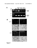 COMPOSITIONS AND METHODS FOR MODULATING SKIN PIGMENTATION diagram and image