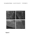 COMPOSITIONS AND METHODS FOR MODULATING SKIN PIGMENTATION diagram and image