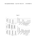 Modulation of Angiogenesis diagram and image