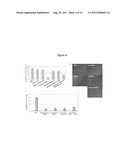 Modulation of Angiogenesis diagram and image