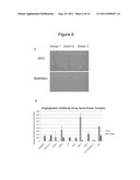 Modulation of Angiogenesis diagram and image