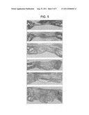 Gene-enhanced tissue engineering diagram and image