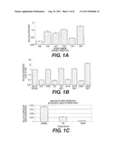 TARGETING PAX2 FOR THE TREATMENT OF BREAST CANCER diagram and image