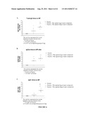 Multivalent Vaccines Based on Papaya Mosaic Virus and Uses Thereof diagram and image