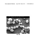 CONTINUOUS SILICA PRODUCTION PROCESS AND SILICA PRODUCT PREPARED FROM SAME diagram and image