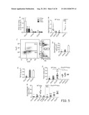 CCR7 LIGAND DELIVERY AND CO-DELIVERY IN IMMUNOTHERAPY diagram and image