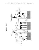 METHODS AND MATERIALS FOR DETECTING CONTAMINATED FOOD PRODUCTS diagram and image