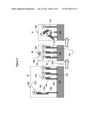 METHODS AND MATERIALS FOR DETECTING CONTAMINATED FOOD PRODUCTS diagram and image