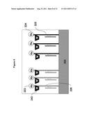 METHODS AND MATERIALS FOR DETECTING CONTAMINATED FOOD PRODUCTS diagram and image