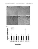 CELL-BASED SCREEN FOR AGENTS USEFUL FOR REDUCING NEURONAL DEMYELINATION OR     PROMOTING NEURONAL REMYELINATION diagram and image