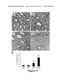 CELL-BASED SCREEN FOR AGENTS USEFUL FOR REDUCING NEURONAL DEMYELINATION OR     PROMOTING NEURONAL REMYELINATION diagram and image