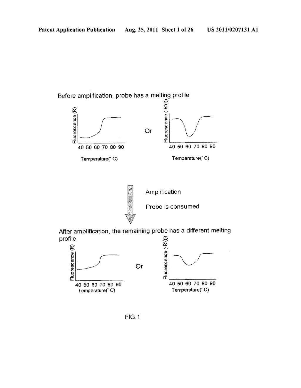 MULTIPLEX AMPLIFICATION AND DETECTION - diagram, schematic, and image 02