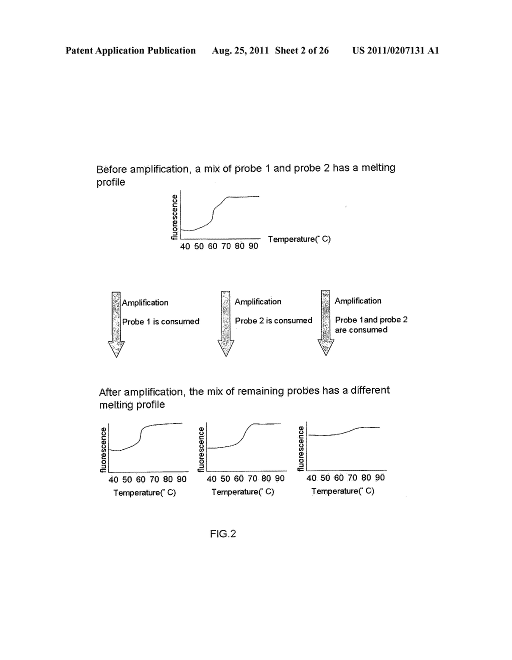 MULTIPLEX AMPLIFICATION AND DETECTION - diagram, schematic, and image 03