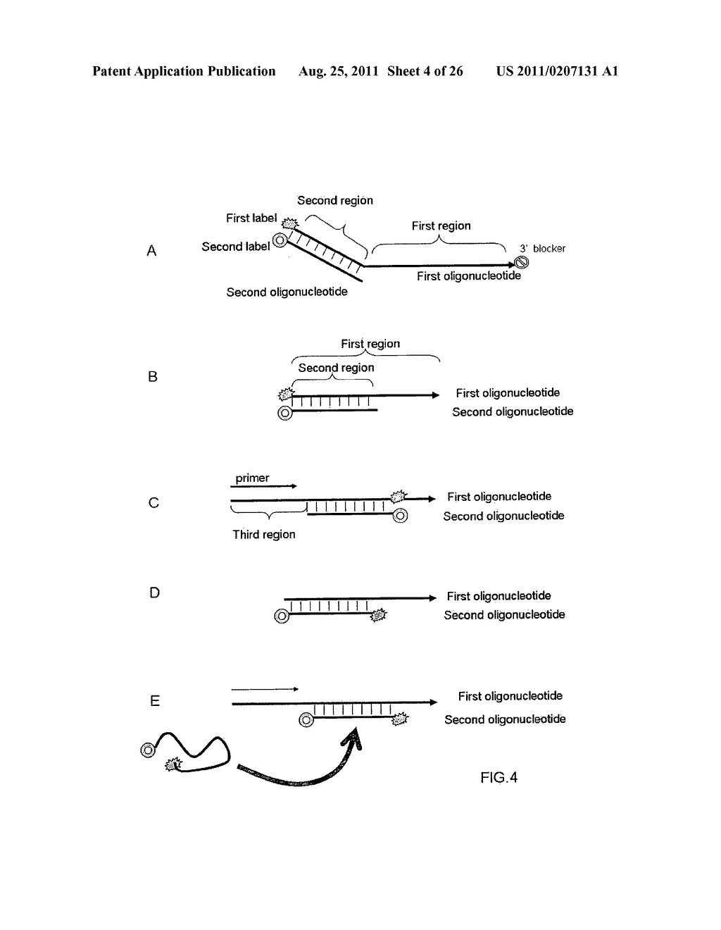 MULTIPLEX AMPLIFICATION AND DETECTION - diagram, schematic, and image 05