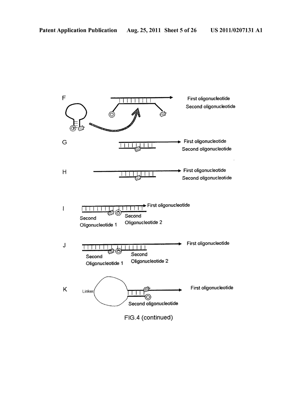 MULTIPLEX AMPLIFICATION AND DETECTION - diagram, schematic, and image 06