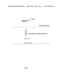 MULTIPLEX AMPLIFICATION AND DETECTION diagram and image