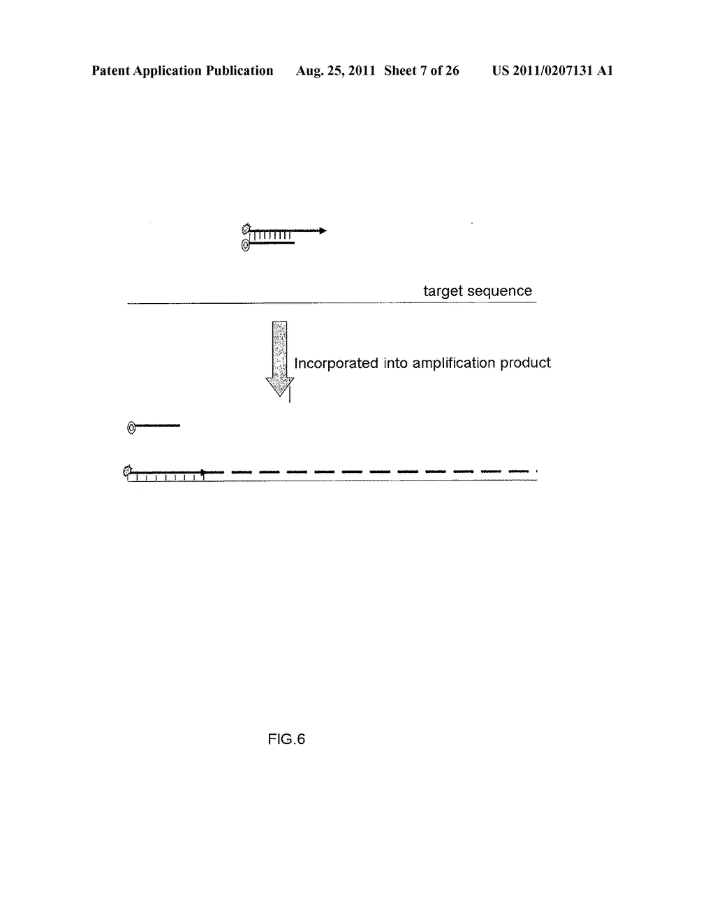 MULTIPLEX AMPLIFICATION AND DETECTION - diagram, schematic, and image 08