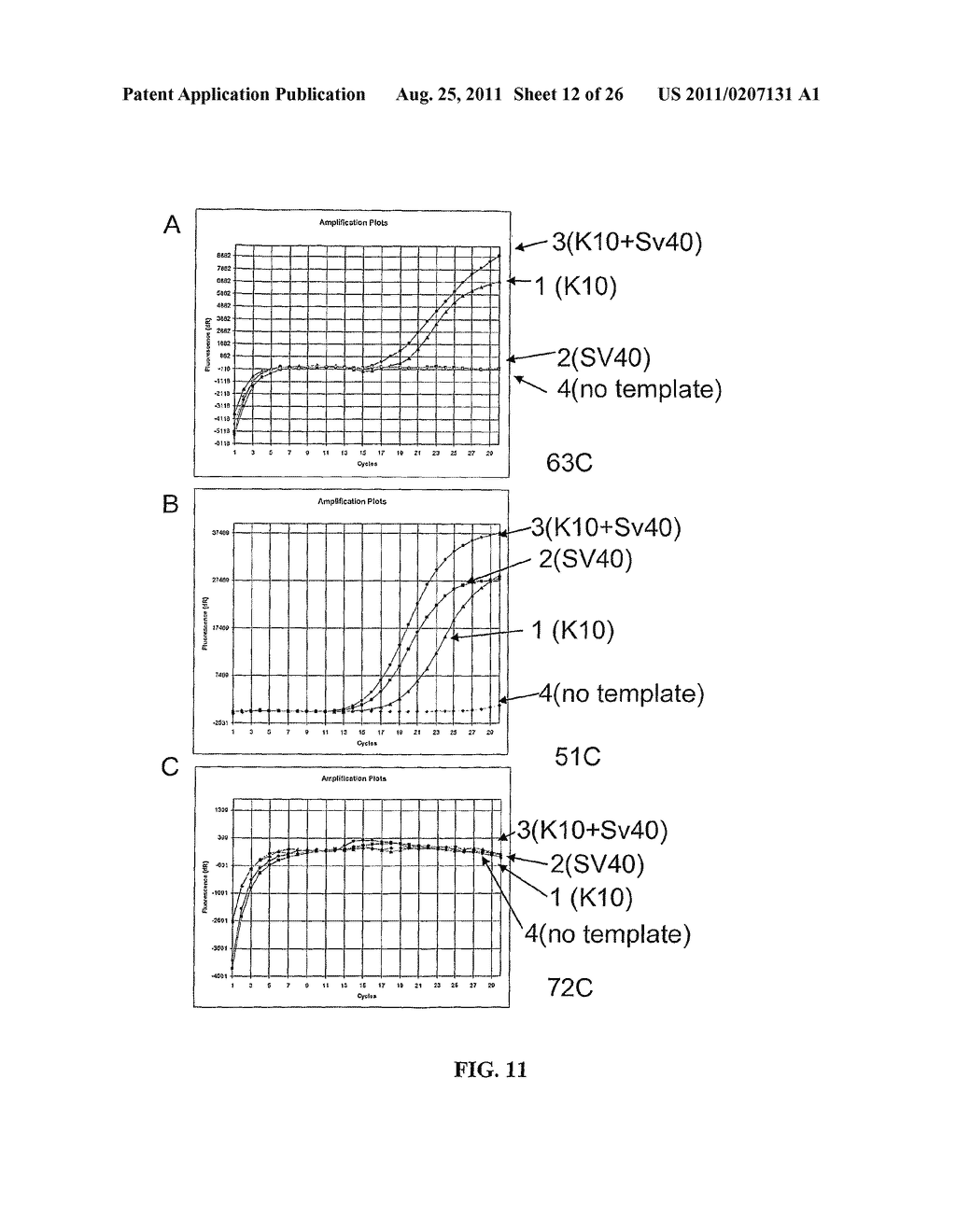 MULTIPLEX AMPLIFICATION AND DETECTION - diagram, schematic, and image 13