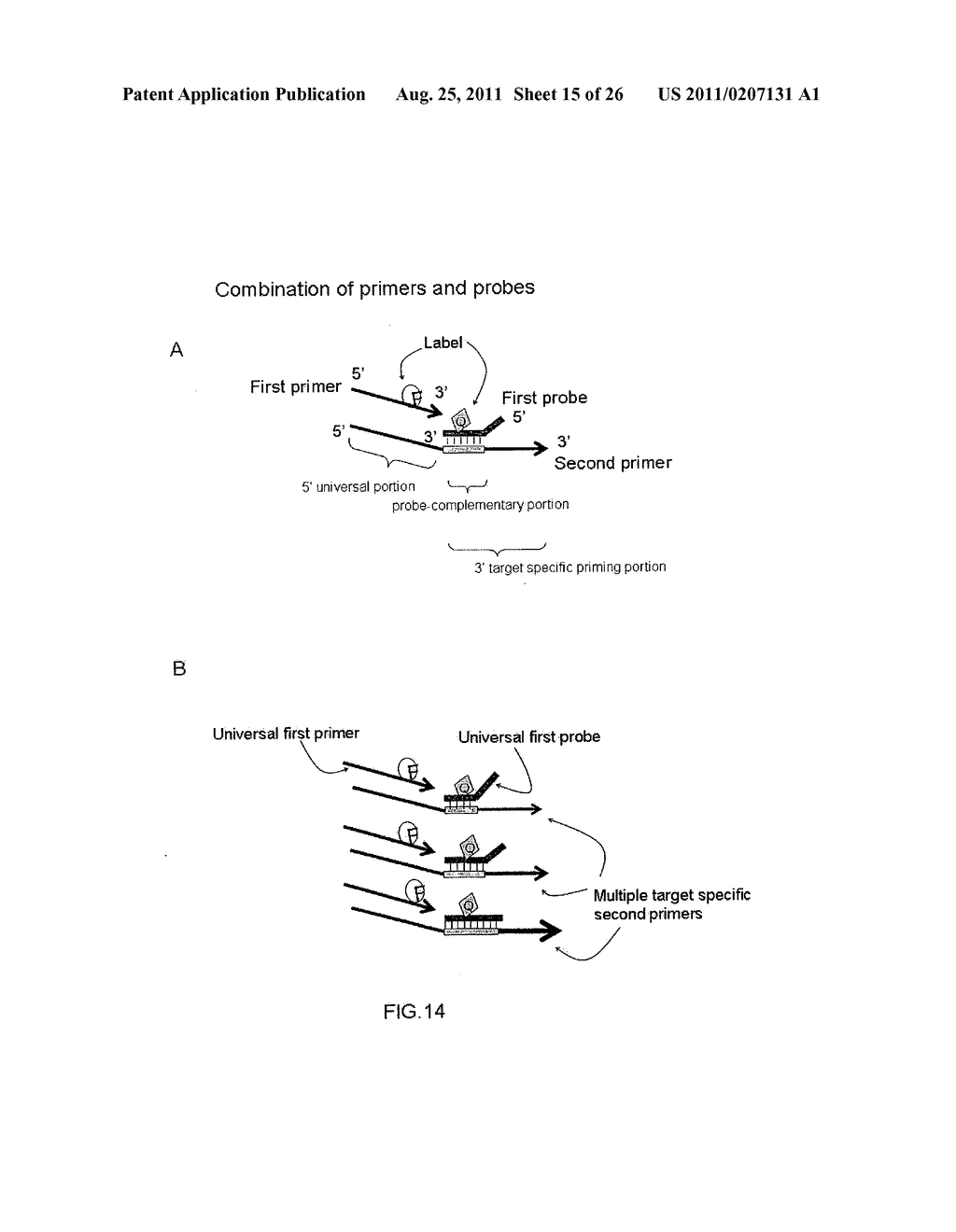MULTIPLEX AMPLIFICATION AND DETECTION - diagram, schematic, and image 16