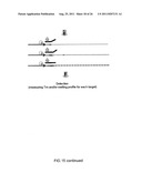 MULTIPLEX AMPLIFICATION AND DETECTION diagram and image