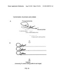 MULTIPLEX AMPLIFICATION AND DETECTION diagram and image