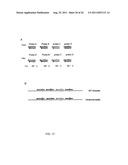 MULTIPLEX AMPLIFICATION AND DETECTION diagram and image