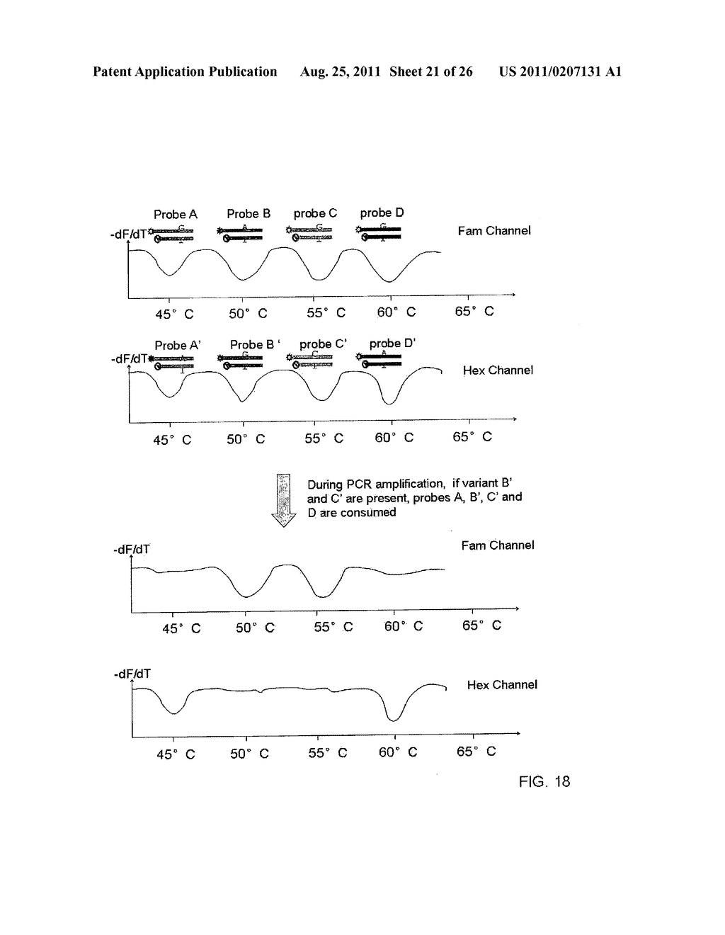 MULTIPLEX AMPLIFICATION AND DETECTION - diagram, schematic, and image 22