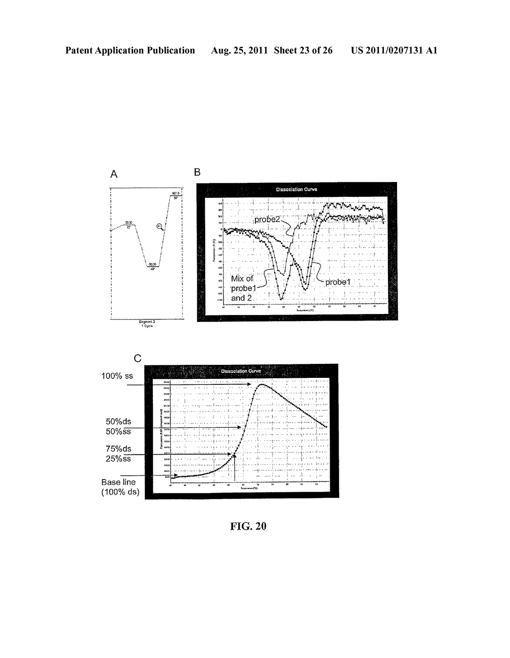 MULTIPLEX AMPLIFICATION AND DETECTION - diagram, schematic, and image 24