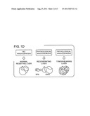 DIFFERENTIAL GENE EXPRESSION IN PHYSIOLOGICAL AND PATHOLOGICAL     ANGIOGENESIS diagram and image