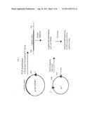 PROCESS FOR THE PREPARATION OF TESTOSTERONE diagram and image