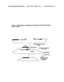 Self-Replicating Vector Lacking An Antibiotic-Resistance Gene diagram and image