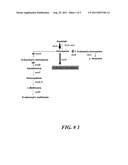 MICROORGANISM PRODUCING L-METHIONINE PRECURSOR AND THE METHOD OF PRODUCING     L-METHIONINE PRECURSOR USING THE MICROORGANISM diagram and image