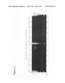 Targeted genomic modification with partially single-stranded donor     molecules diagram and image