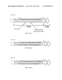 IN VIVO PRODUCTION OF SMALL INTERFERING RNAS THAT MEDIATE GENE SILENCING diagram and image