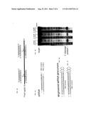 IN VIVO PRODUCTION OF SMALL INTERFERING RNAS THAT MEDIATE GENE SILENCING diagram and image