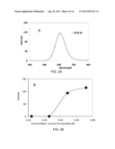 WATER SOLUBLE PH RESPONSIVE FLUORESCENT NANOPARTICLES diagram and image
